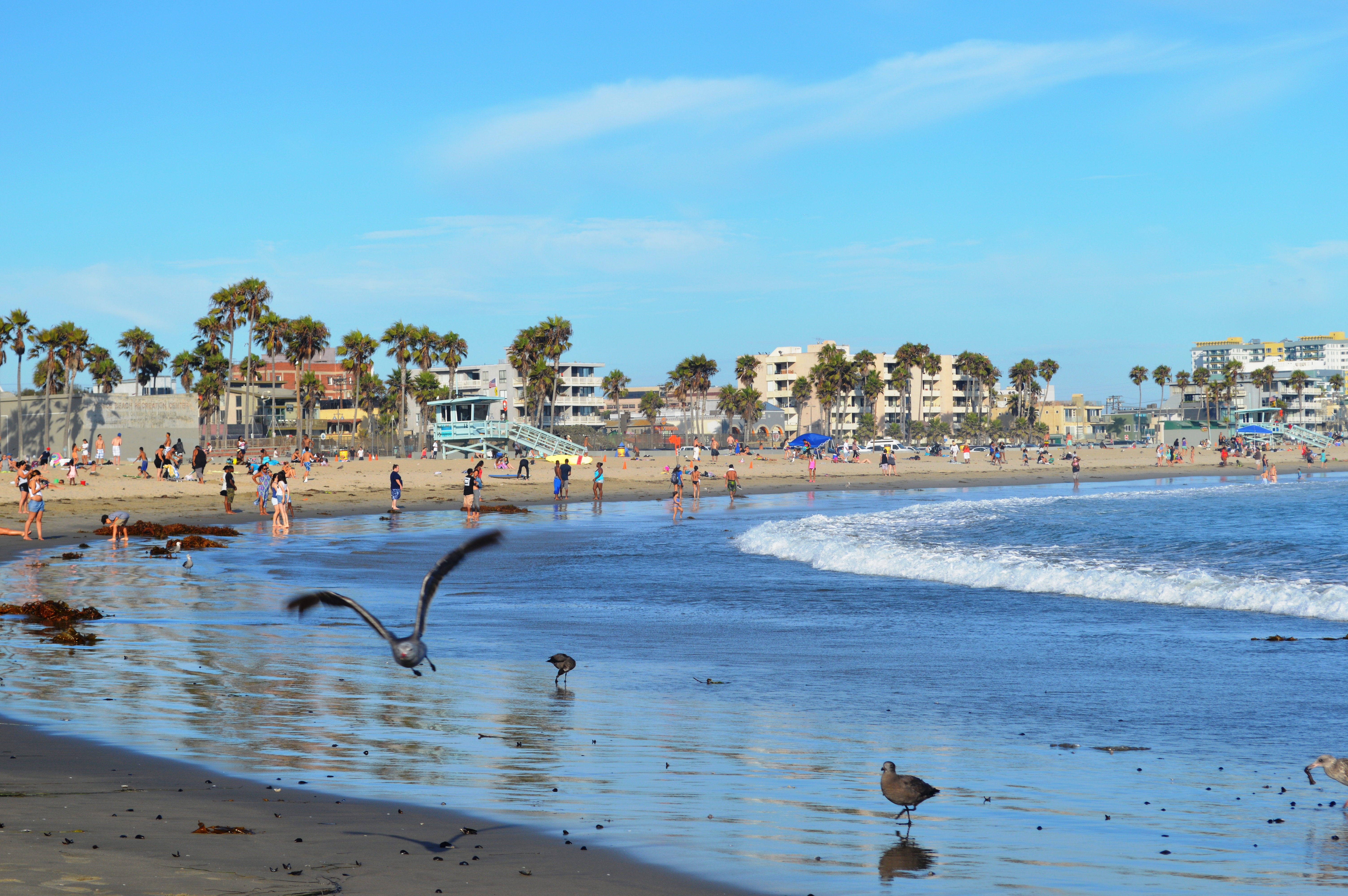 File:Venice Beach, Los Angeles, CA 10.JPG - Wikimedia Commons