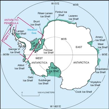 File:Wordie Ice Shelf location - Antarctica.jpg