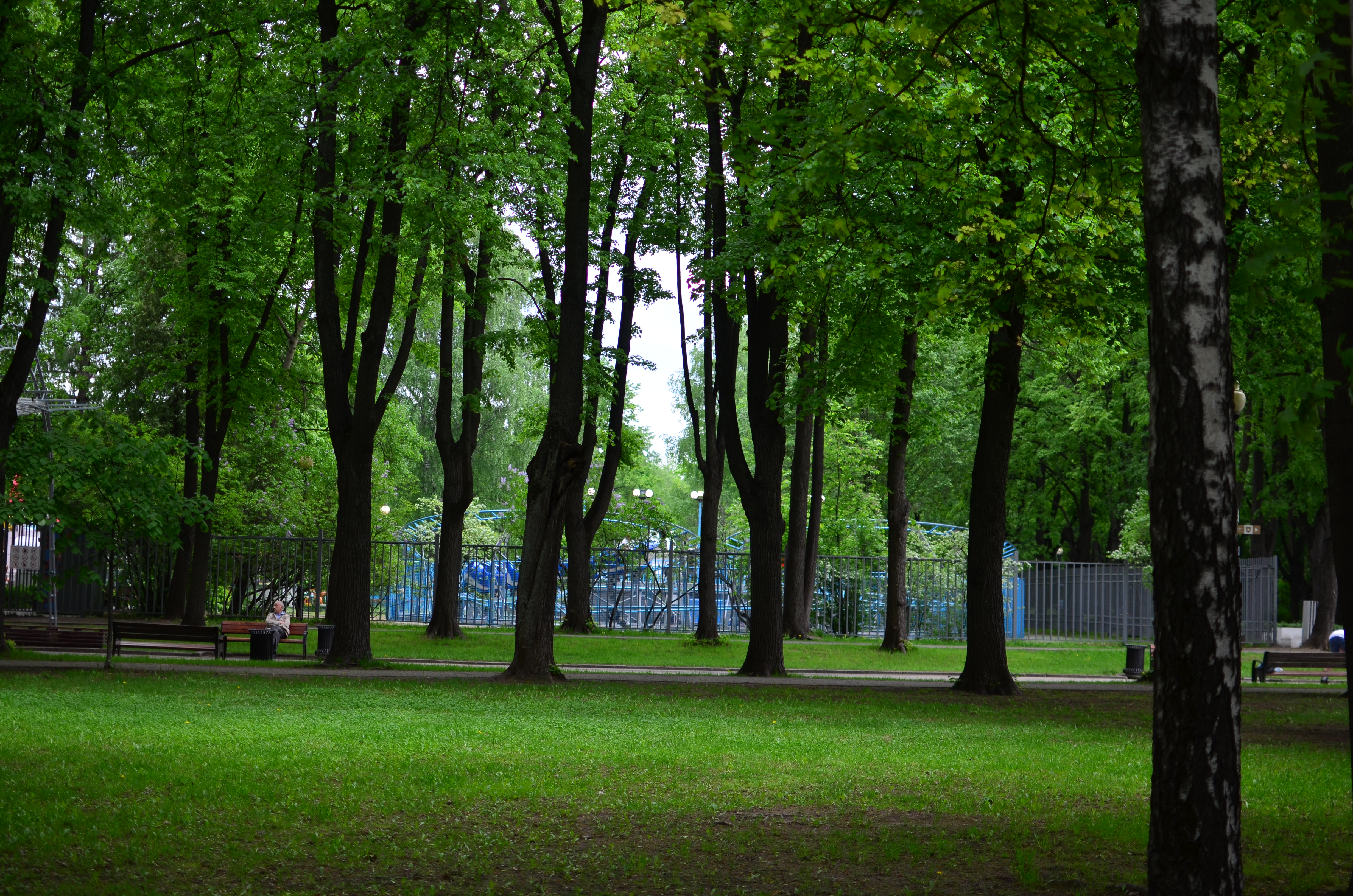 Измайловский парк в санкт петербурге