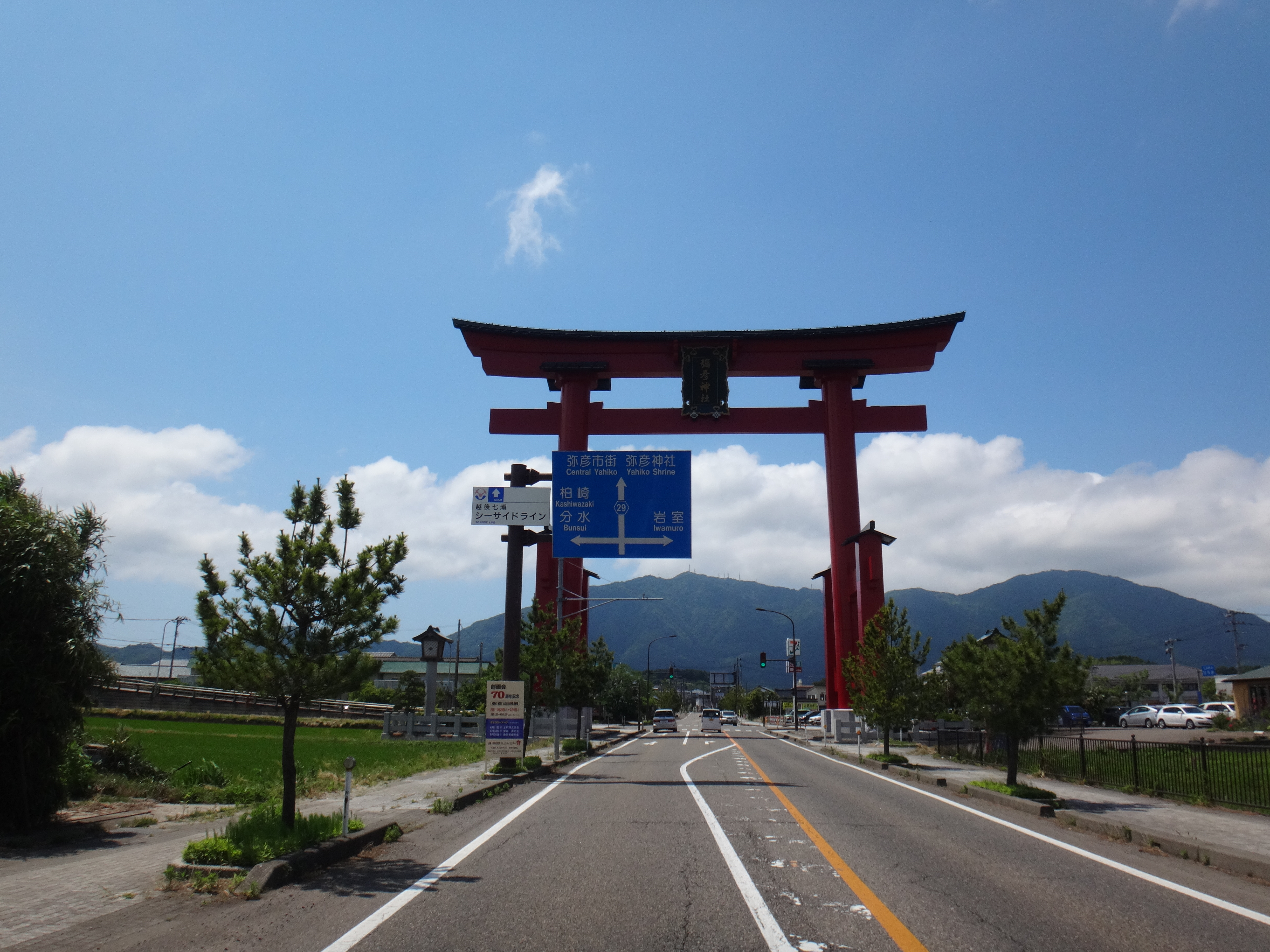 ファイル 弥彦神社の大鳥居2 Jpg Wikipedia