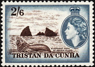 1954 Tristan da Cunha stamp depicting "elephant seal at Gough Island"