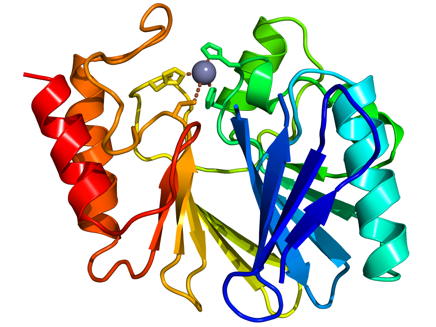 Metallo-beta-lactamase protein fold - Wikipedia