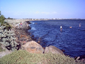 File:Altona coastal park.jpg