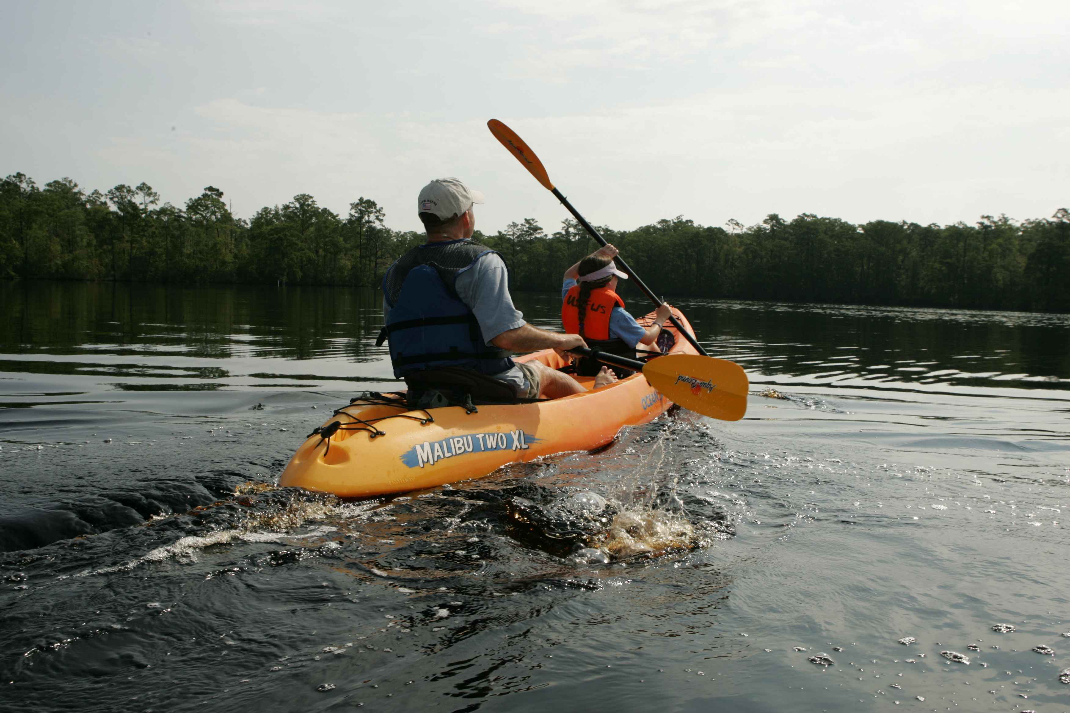 File:An adult and child enjoy their time paddling a kayak 