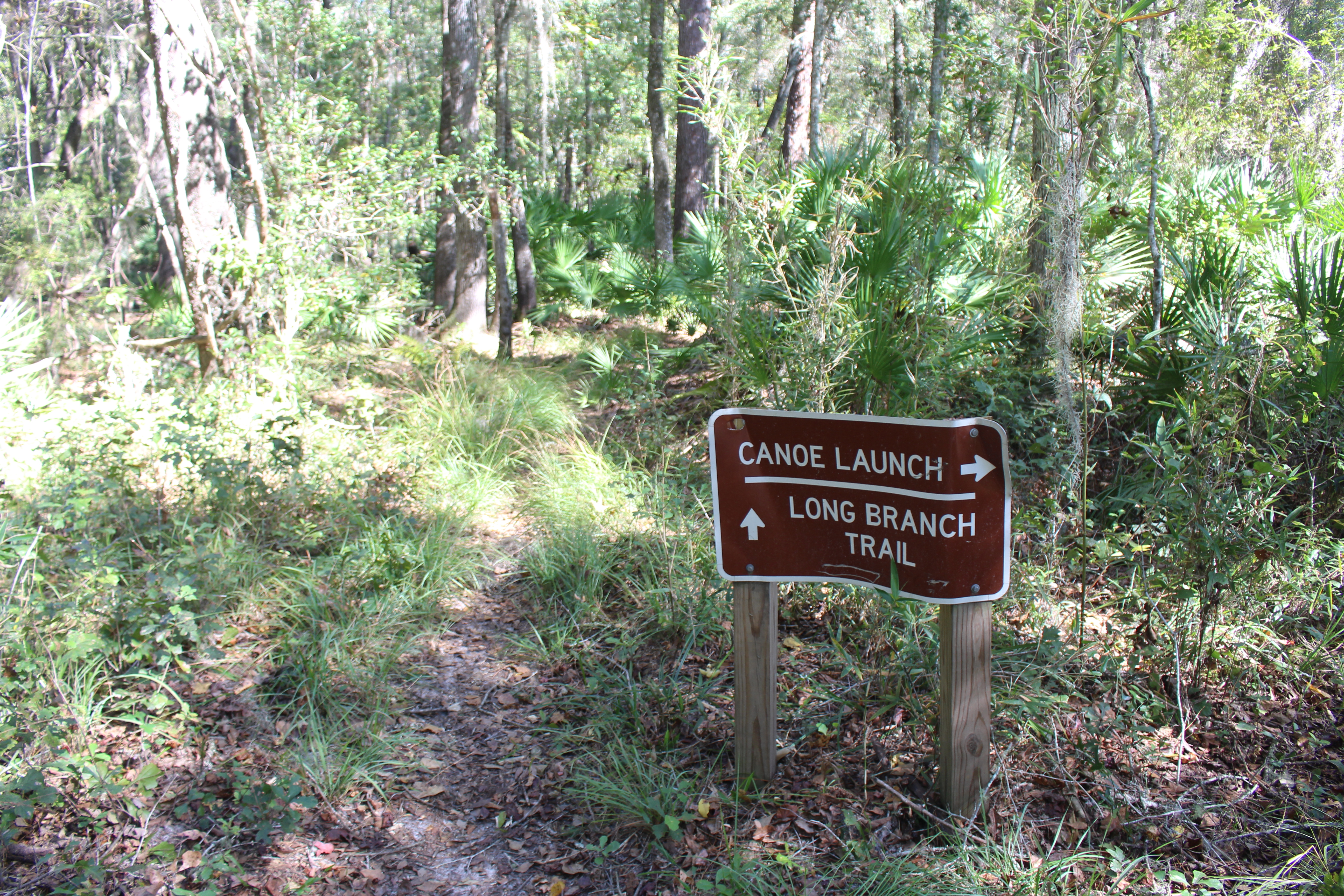 Long trail. Long Branch. 93 Branch Trail.