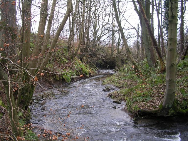 File:Burn through Hillhouse Plantation - geograph.org.uk - 287838.jpg