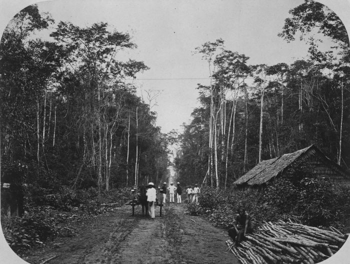 File:COLLECTIE TROPENMUSEUM Plantage Klambir Lima in Deli de weg voor de administrateurswoning TMnr 60025580.jpg