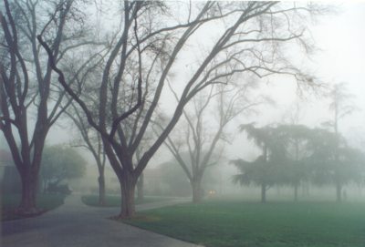 The campus on a foggy morning