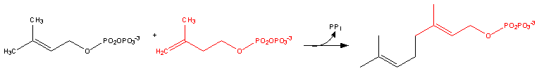 File:Cholesterol-Synthesis-Reaction8.png