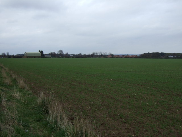 File:Crop field east of Scawby Road - geograph.org.uk - 3919053.jpg