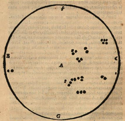 '''Diagram of Sunspots from Borbonia Sidera'''