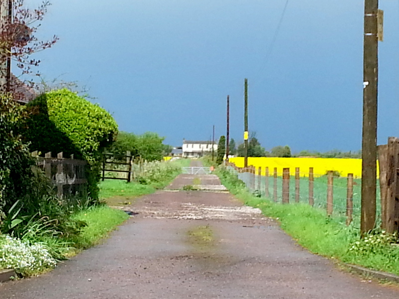 File:Drive to Churcham House - geograph.org.uk - 4251146.jpg