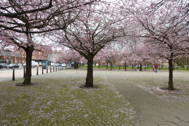 File:Entrance to Glasgow Green - geograph.org.uk - 4909217.jpg