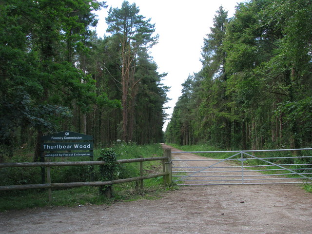 Entrance to Thurlbear Wood (geograph 1920235)