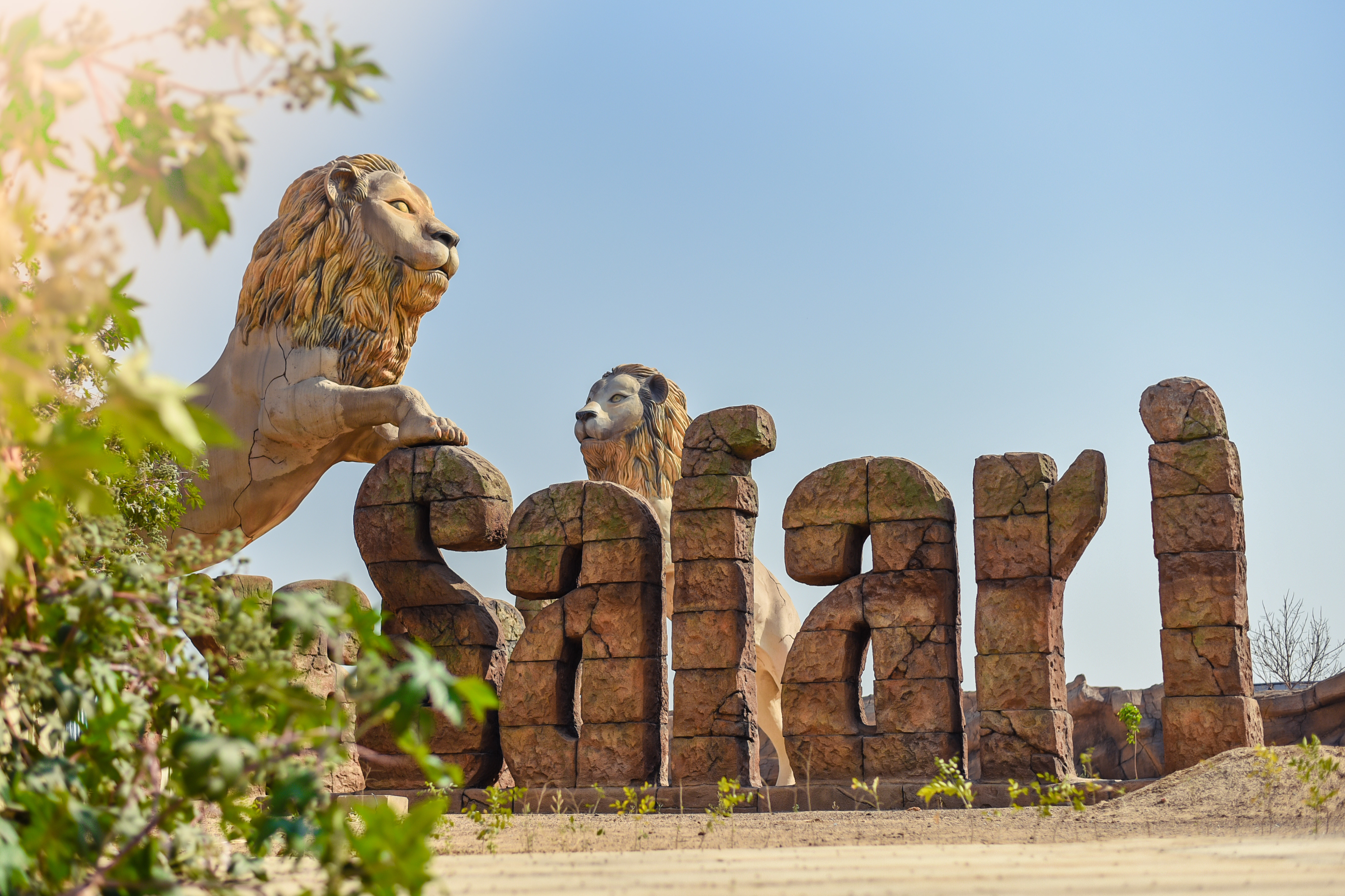 Lion & Safari Park