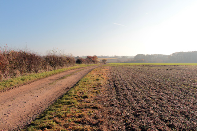 File:Farmland at Sutton Cheney - geograph.org.uk - 5980627.jpg