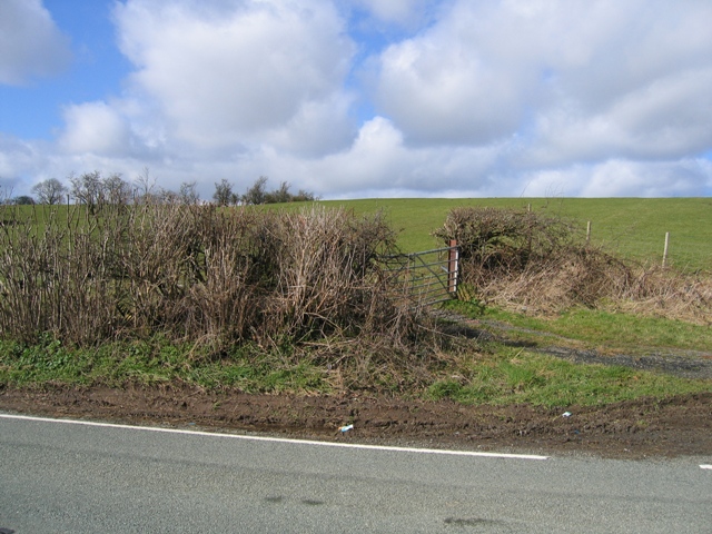 File:Field Gate and Pasture - geograph.org.uk - 356542.jpg