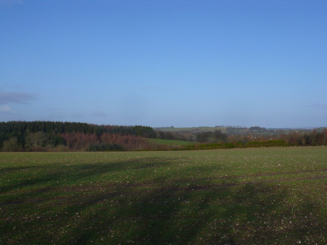 File:Field and woods near Rampisham - geograph.org.uk - 642597.jpg