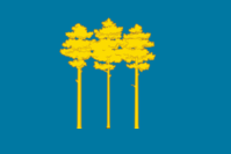 File:Flag of Dimitrovgrad (Ulianovsk oblast).png