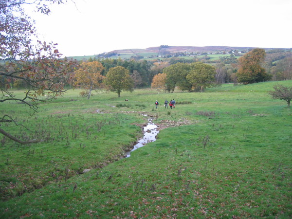 File:Footpath below Shaws - geograph.org.uk - 1026722.jpg