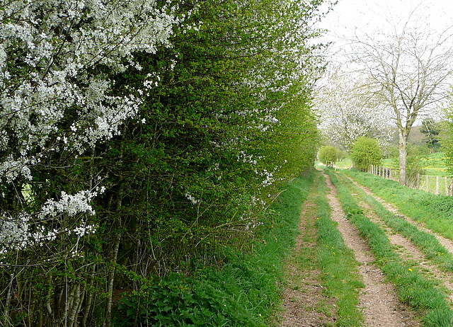 File:Footpath from Springvale - geograph.org.uk - 2357288.jpg