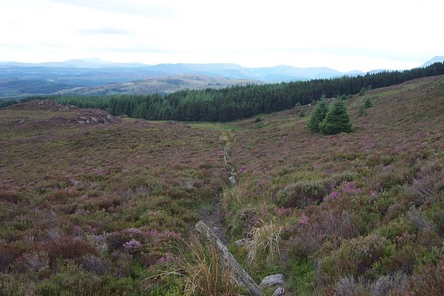 File:Footpath through Heather Moorland - geograph.org.uk - 213808.jpg