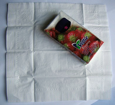 Fichier:Kleenex-small-box.jpg — Wikipédia