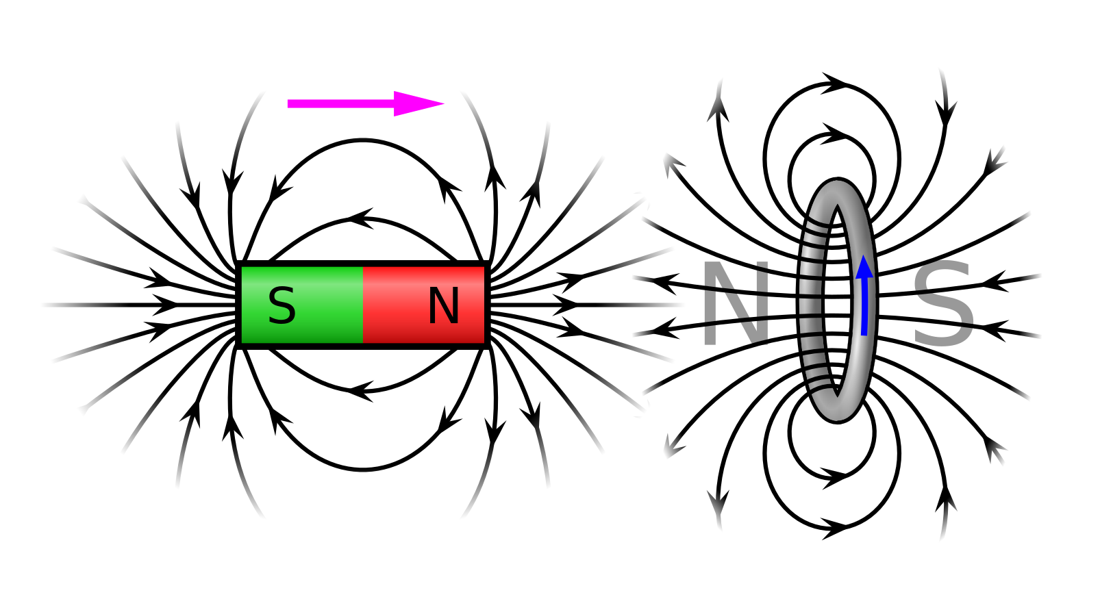 How is the magnetic field of the ring magnet distributed? - Znanje