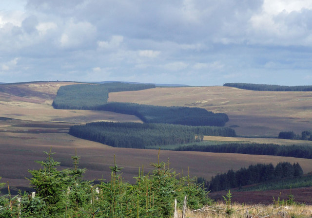 File:Limestone Knowe and Scad Law - geograph.org.uk - 563740.jpg