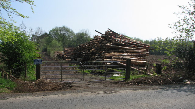 File:Log pile - geograph.org.uk - 792634.jpg