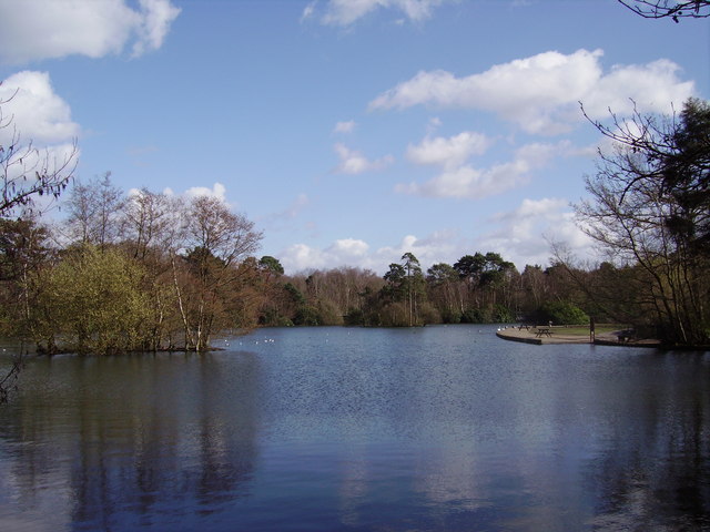 Longmoor Lake at California Country Park - geograph.org.uk - 722760