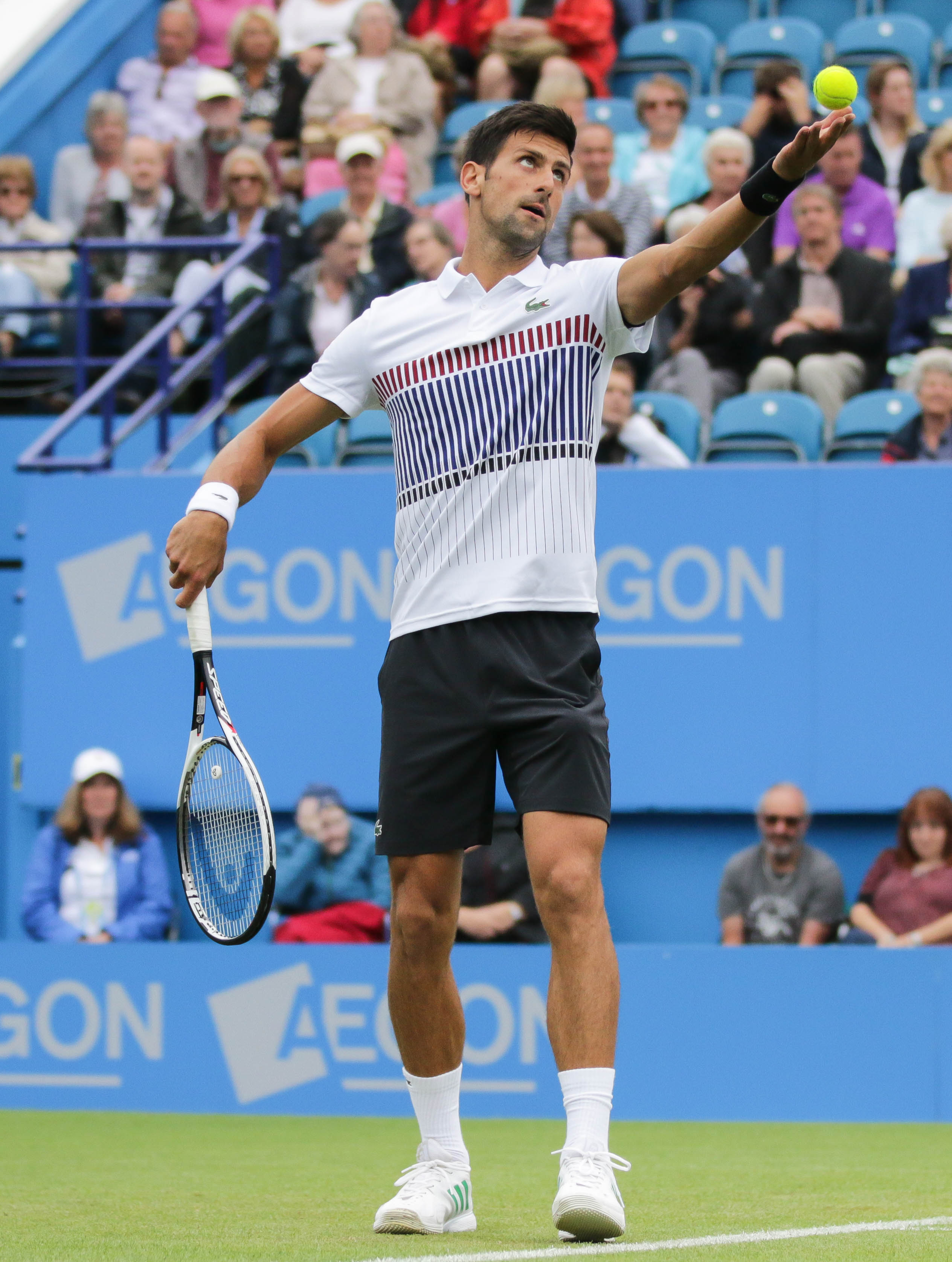 US Open: Blessé à l'épaule, Djokovic laisse le champ libre à Federer et Nadal