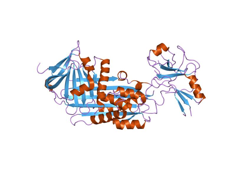 File:PDB 1ezx EBI.jpg