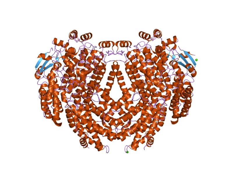 File:PDB 1fz0 EBI.jpg