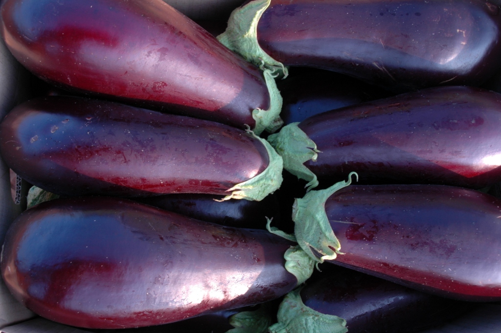 eggplants