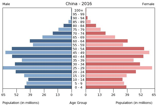 Population pyramid of China in 2016.