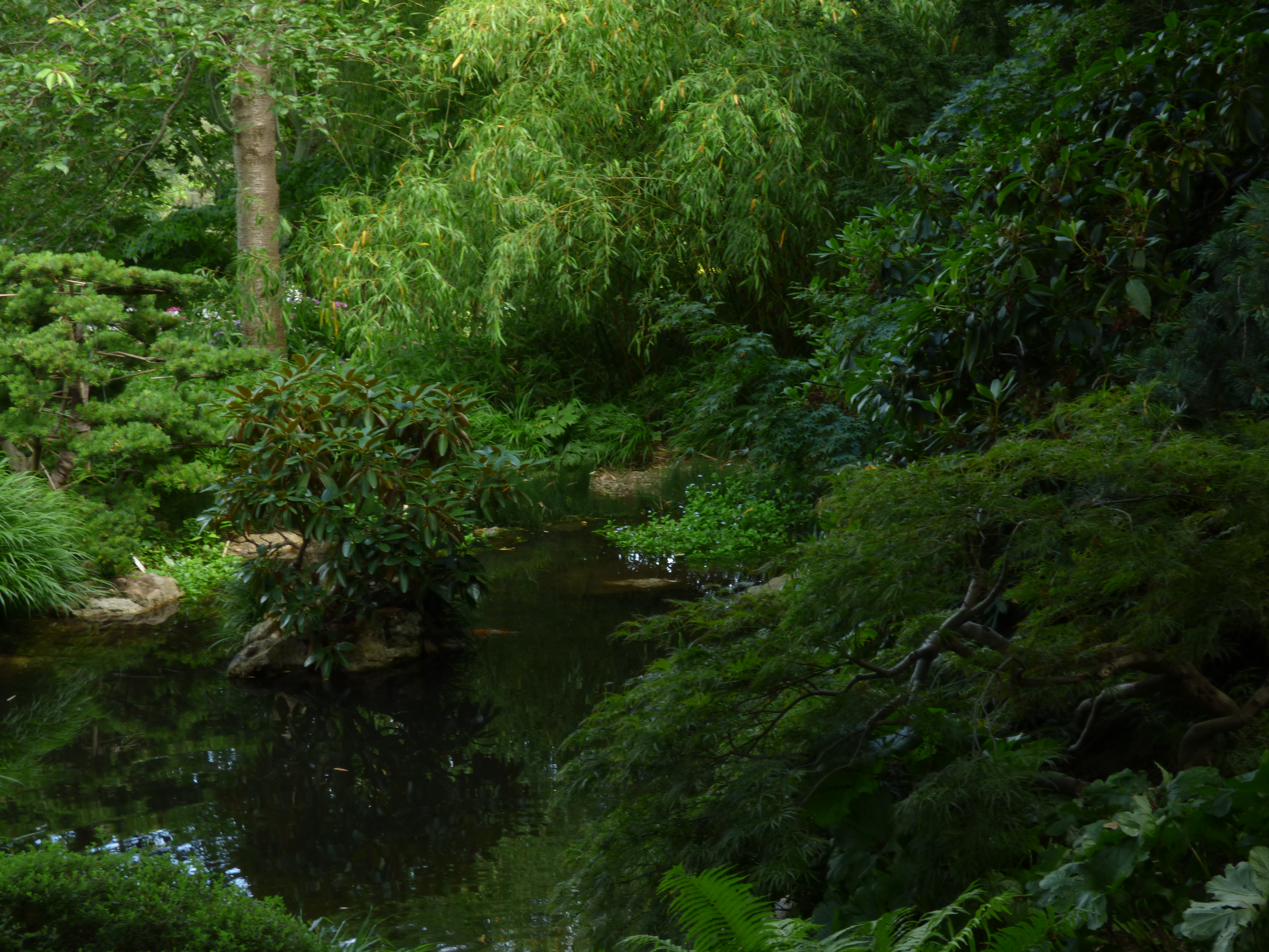 File Prazska Botanicka Zahrada Prager Botanischer Garten