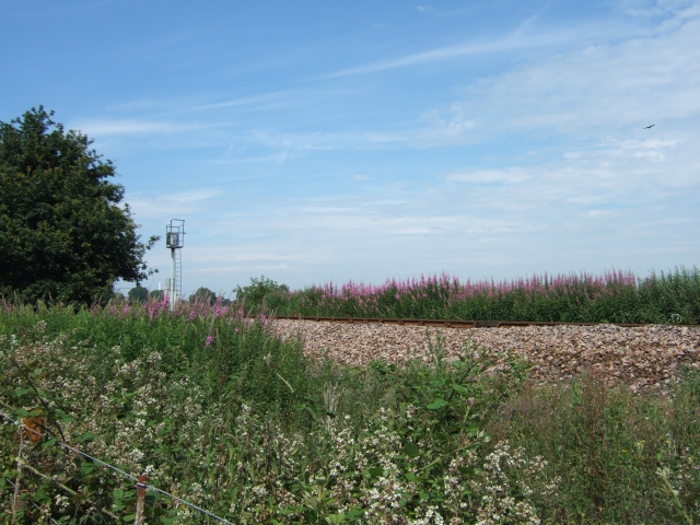 File:Railway line between Exeter and Topsham - geograph.org.uk - 1381310.jpg