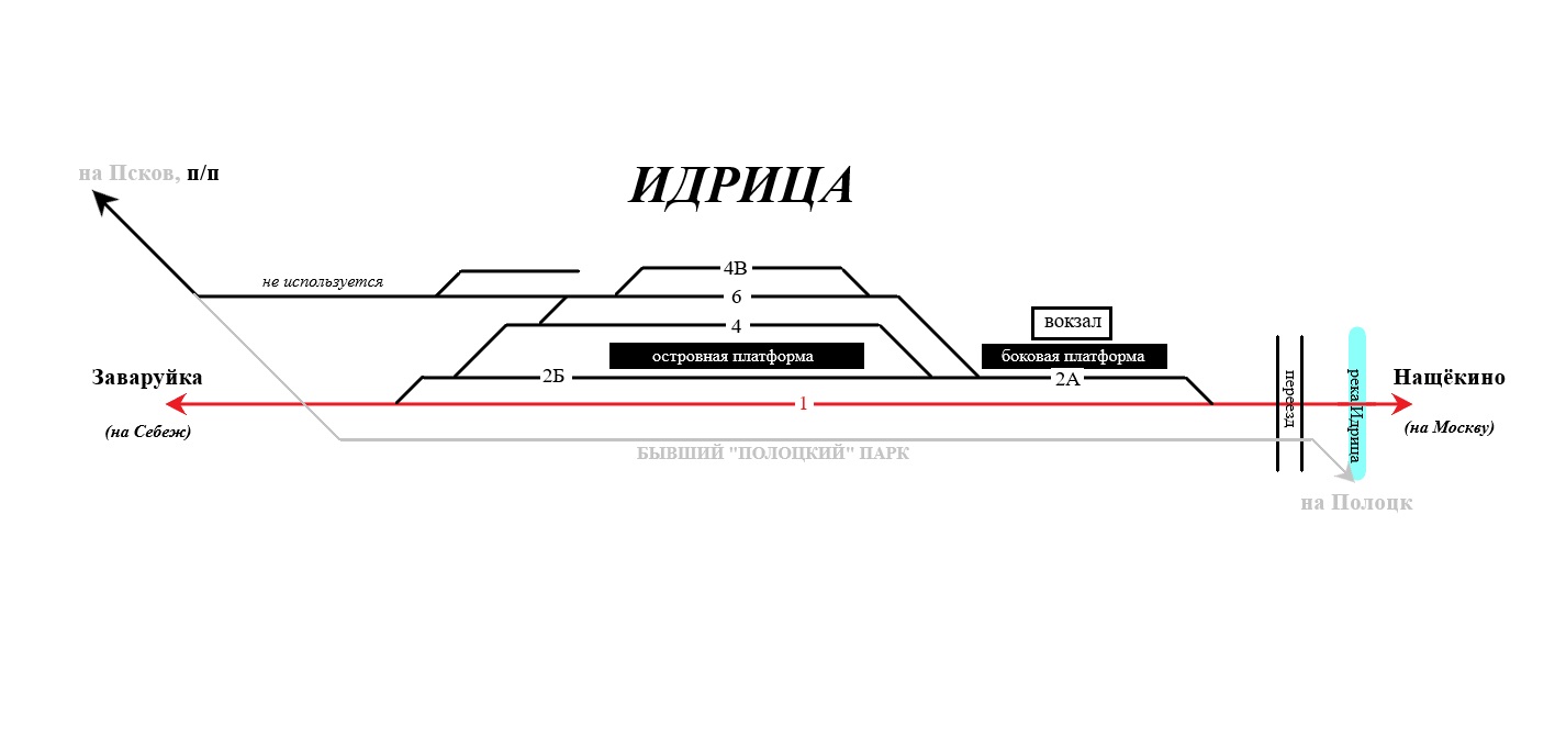 Схема куранта изаксона риса