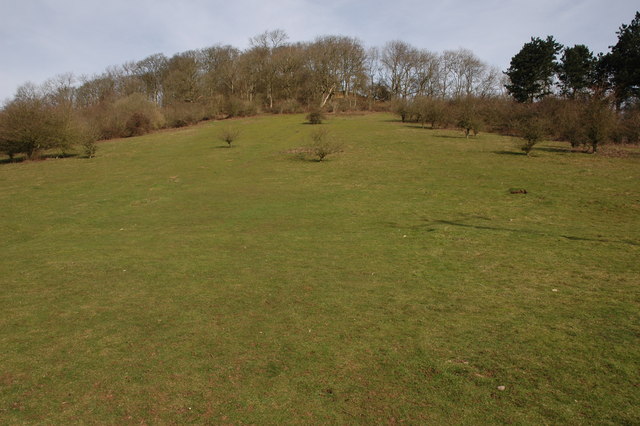 File:Southern slopes of Midsummer Hill - geograph.org.uk - 372586.jpg