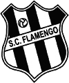 Miniatura para Sport Club Flamengo