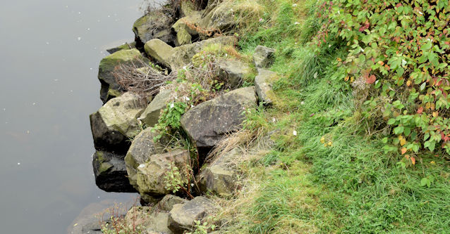 File:Strengthened riverbank, Comber (October 2015) - geograph.org.uk - 4693896.jpg