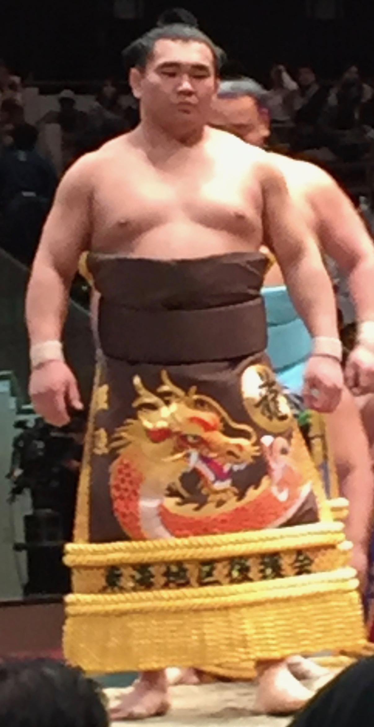 Terutsuyoshi Shoki, Japanese sumo wrestler was born on January 17, 1995.