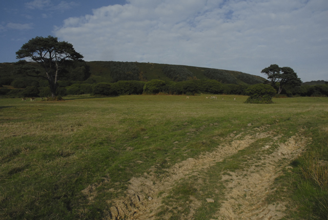 File:The Breast Plantations in Margam Country Park - geograph.org.uk - 241260.jpg