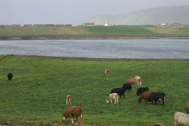 File:View towards Scatness from the Sumburgh Hotel - geograph.org.uk - 1463460.jpg