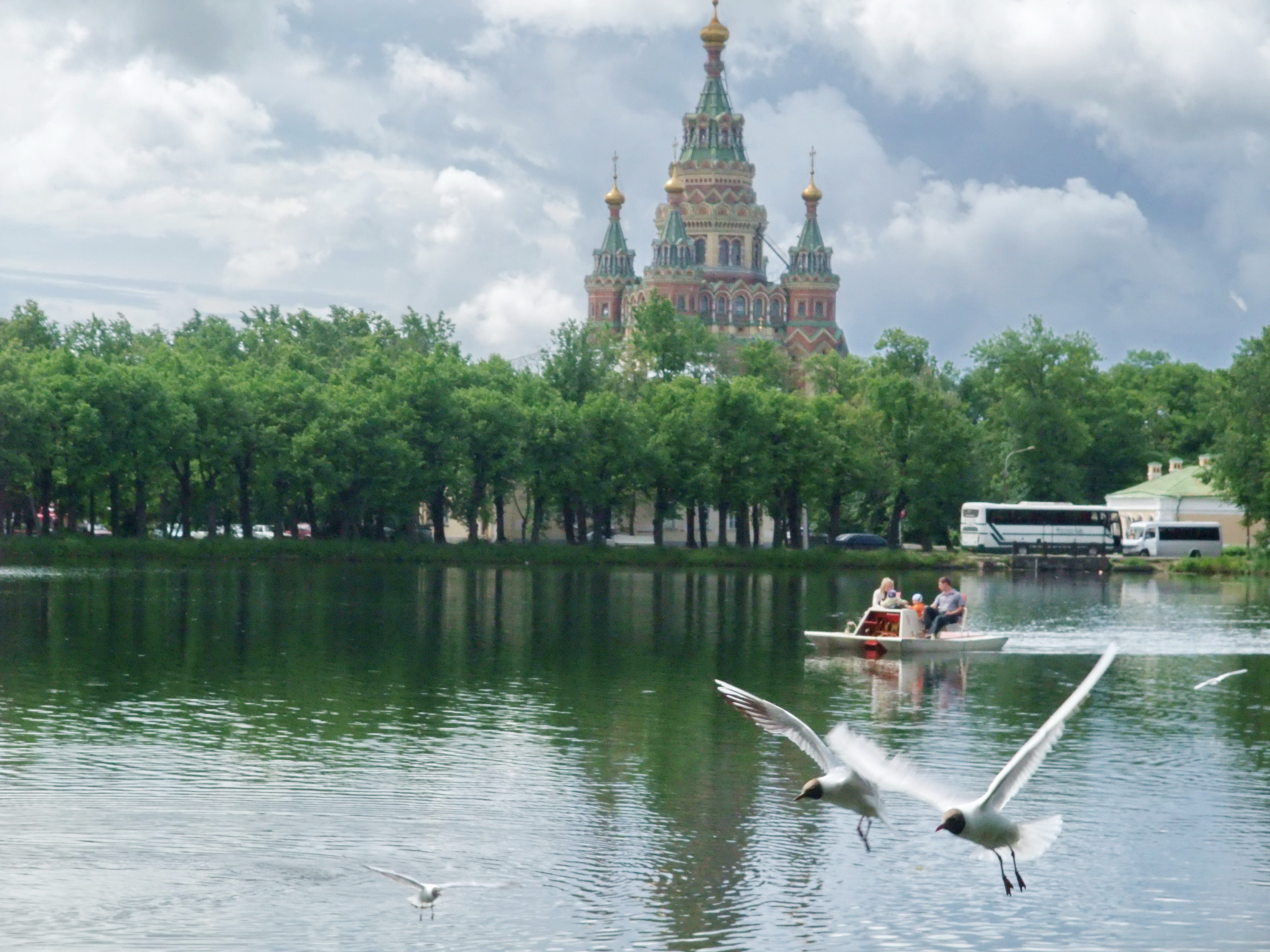 Рыбная база в петергофе. Евинский пруд Петергоф. Английский пруд в Петергофе. Чистые пруды Петергоф. Трубинский пруд Петергоф.