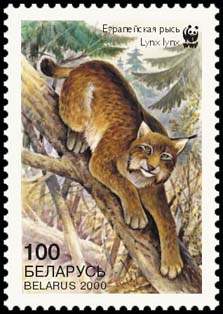 Файл:2000. Stamp of Belarus 0380.jpg