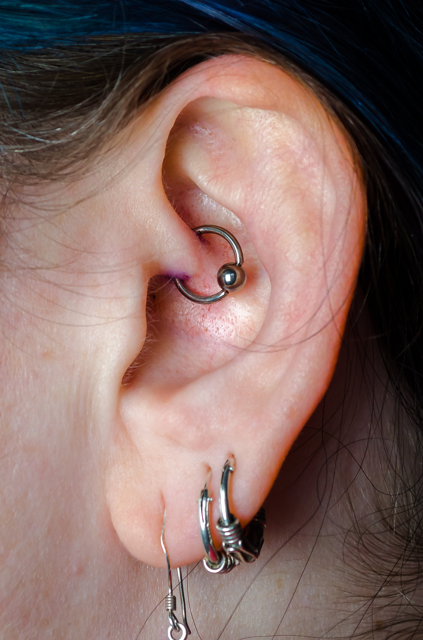 hoop daith piercing earring