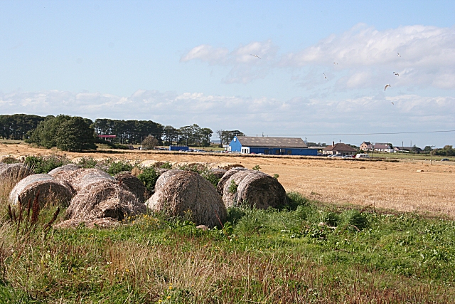 File:Bales Old and New - geograph.org.uk - 958970.jpg