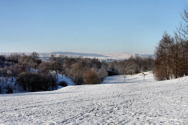 File:Bank Hall Park - geograph.org.uk - 1114550.jpg